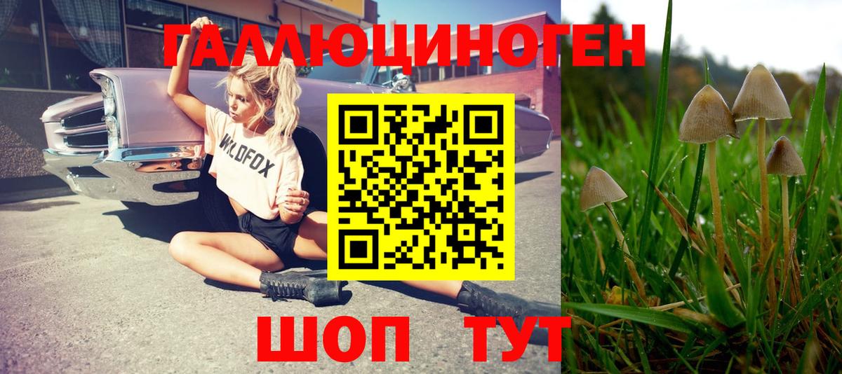 Псилоцибиновые грибы GOLDEN TEACHER Ржев