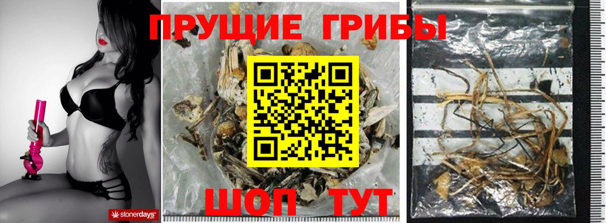 Псилоцибиновые грибы Magic Shrooms  Вход с VPN  Ржев  Псилоцибиновые грибы MAGIC MUSHROOMS 
